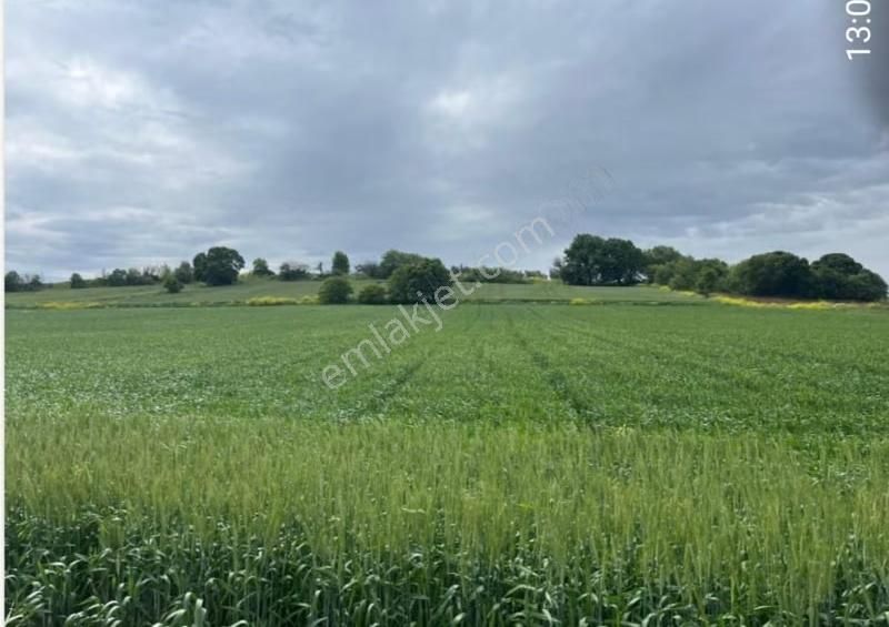 İzmir Yoluna 350 Metre Mesafede 6.000 M²