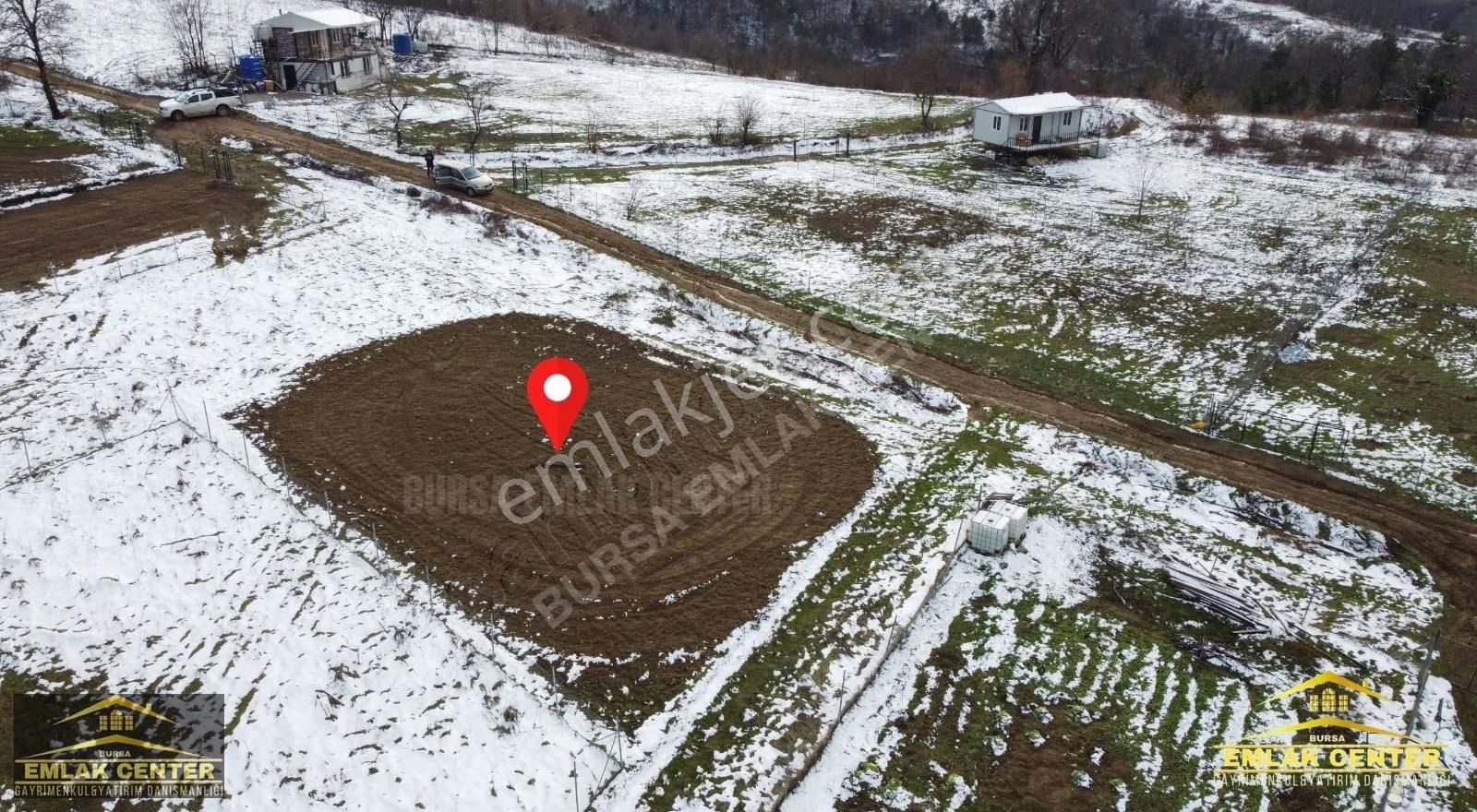 Kestel Gözede De 487 M2 Hobi Bahçesi - Görsel 4