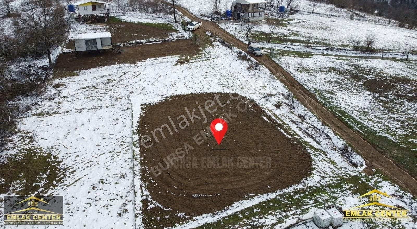 Kestel Gözede De 487 M2 Hobi Bahçesi - Görsel 6