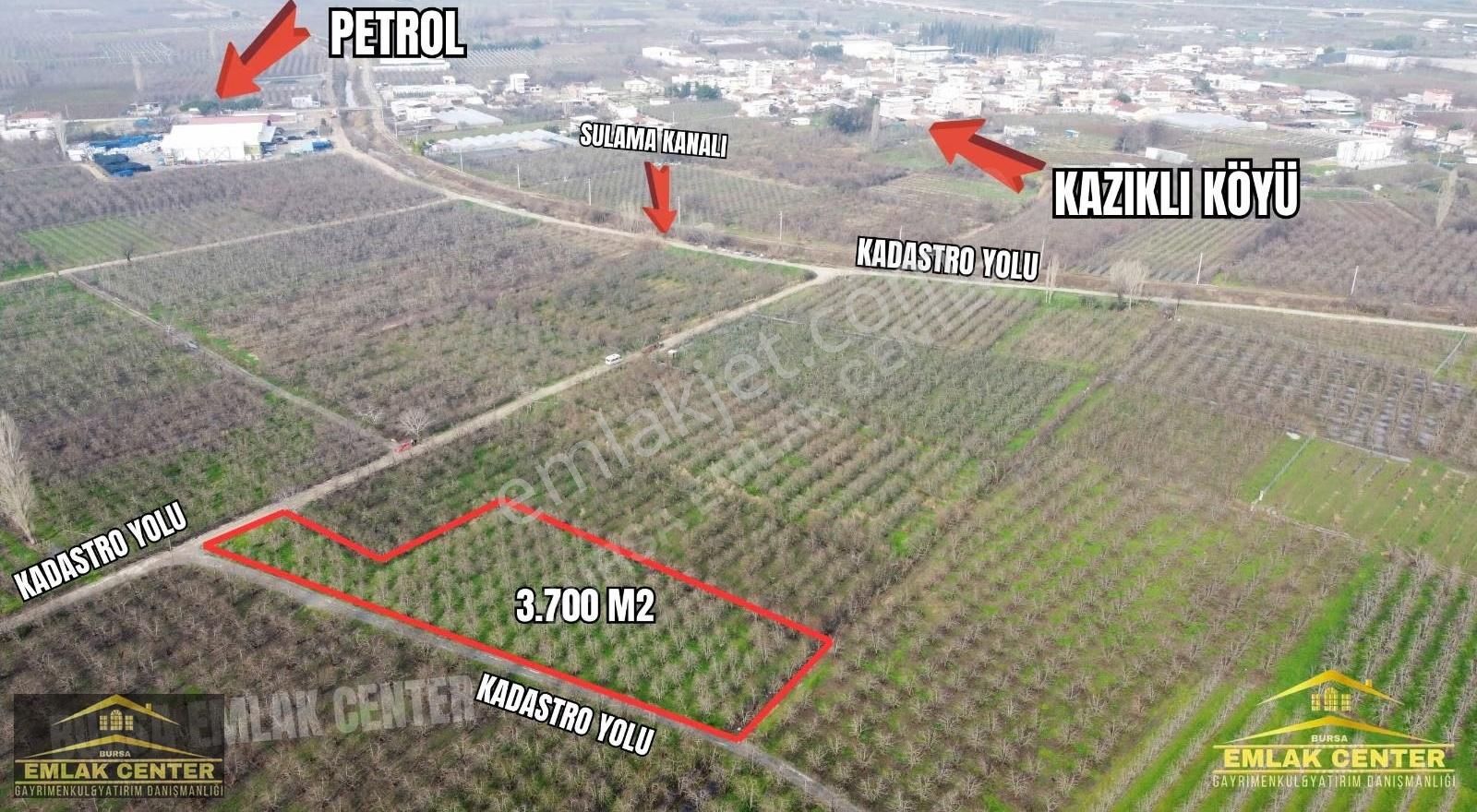 Gürsu Ağa Köyde 3700 M2 Satılık Santamaria Armut Tarlası - Görsel 9