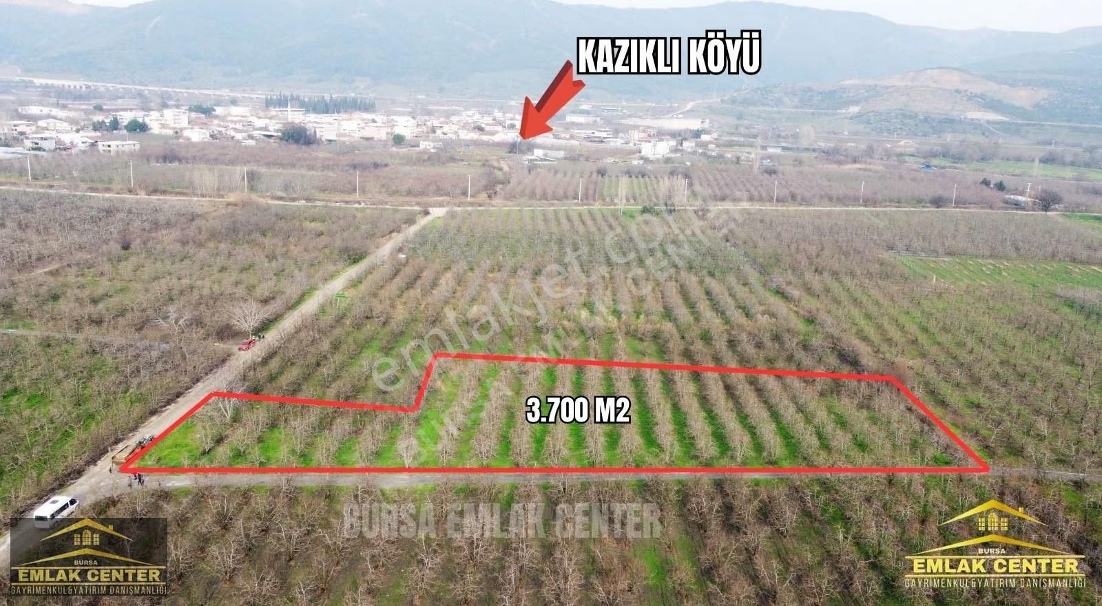 Gürsu Ağa Köyde 3700 M2 Satılık Santamaria Armut Tarlası - Görsel 10