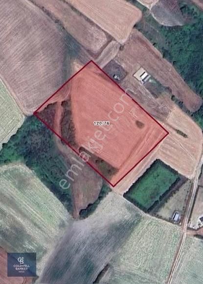 Çatalca Çanakça Da 7857m2 Satılık Tarla