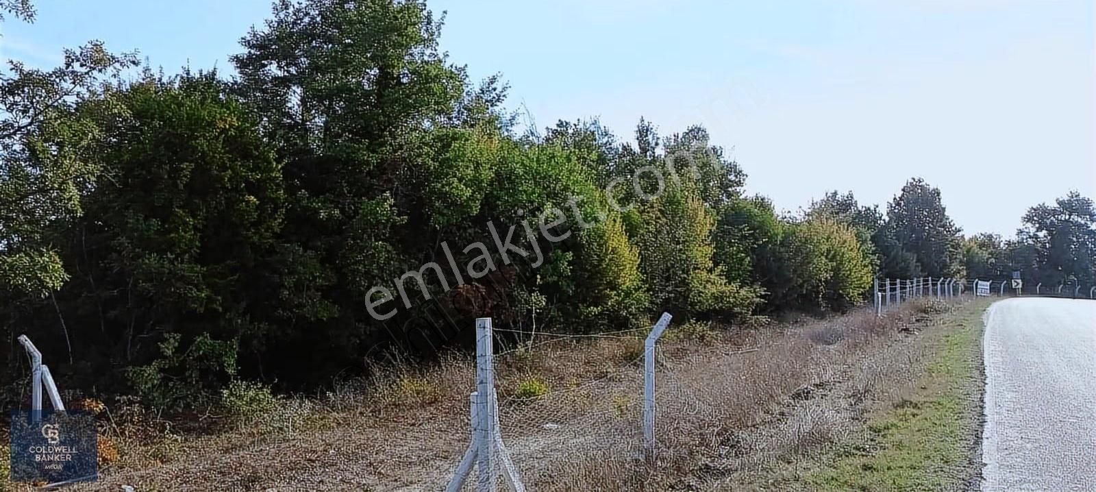 Çatalca Örencikte Satılık Tarla - Görsel 2