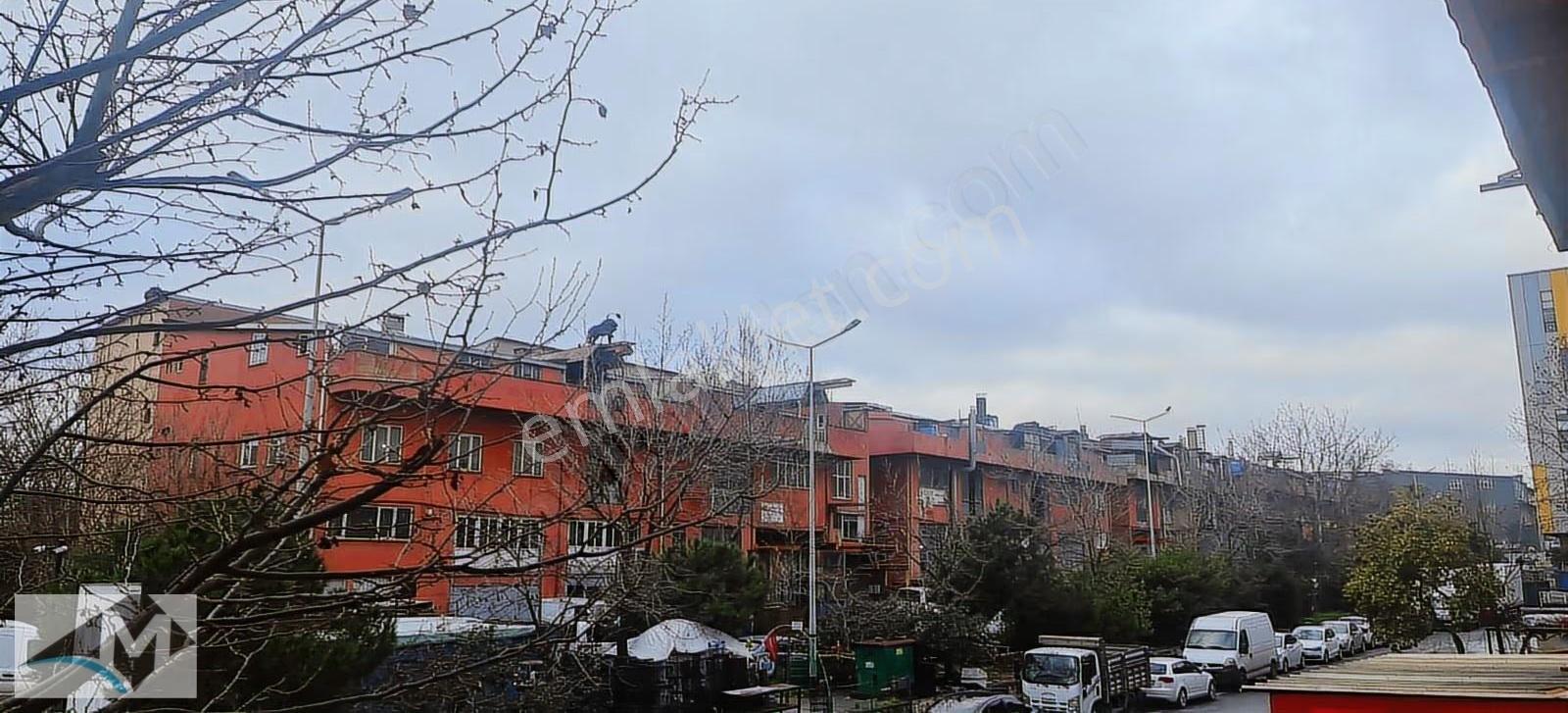 İkitelli Organize Sanayi Pik Dökümcülerde 503 M2 3 Katlı