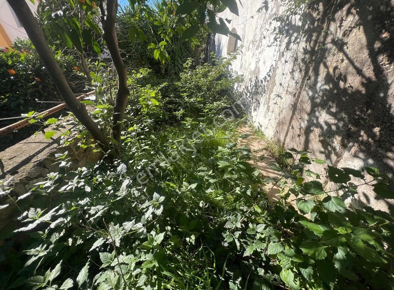 Gümüldür De Satılık 3+1 Deniz Manzaralı Villa - Görsel 13