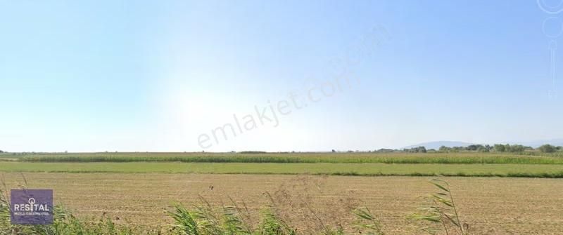 Rs Mutlu Bursa Mustafakemalpaşa Kumkadı 7500 M2 Yolu Olan Tarla - Görsel 6