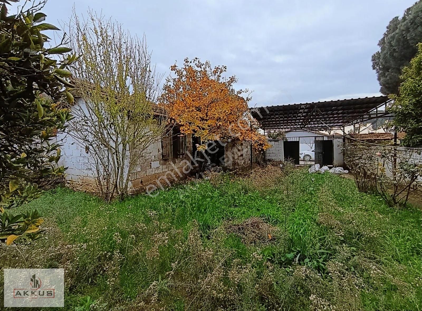 Akkuş Emlak'tan Satılık Köy Evi - Görsel 2