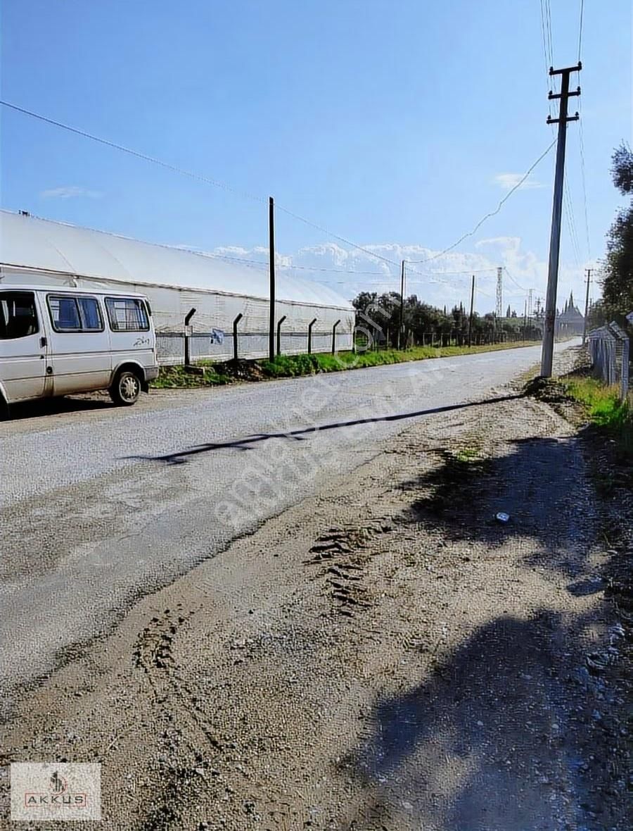 Akkuş Emlak'tan Satilik Sera - Görsel 17
