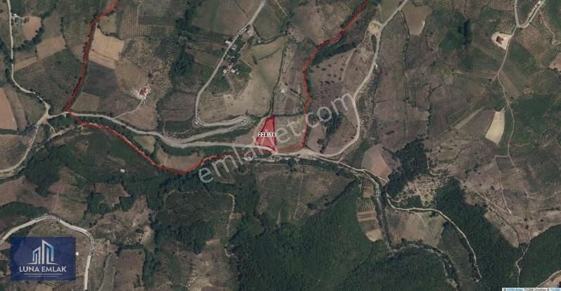 Lunadan Samsun Canik İmamlar Köyünde Yola Cephe Satılık Tarla - Görsel 2