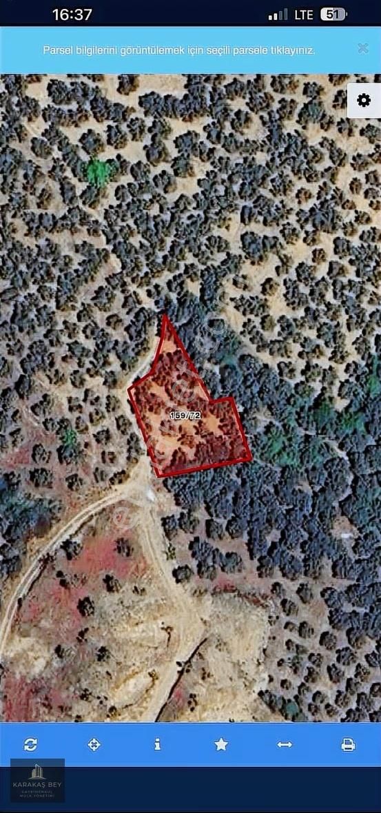 Bursa Mudanya Trilye'de Yatırıma Uygun Yola Cephe Arsa