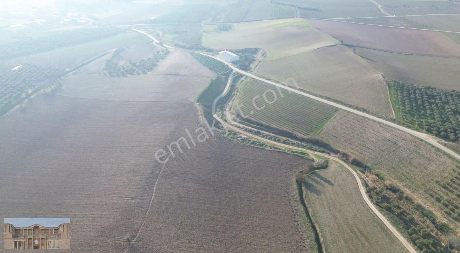 Satılık Çapaklıda 16.500 M2 Merkeze Yakın Verimli Zeytinlik - Görsel 19
