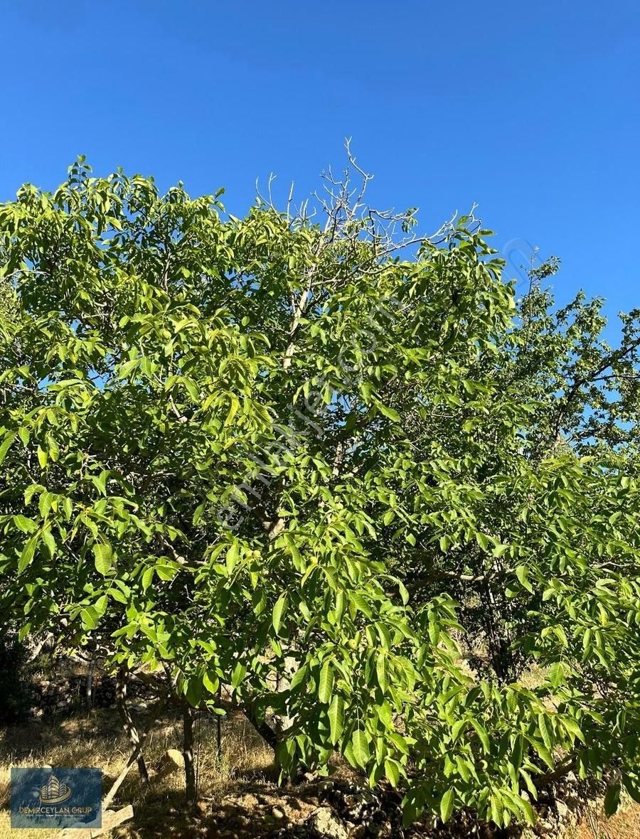 Muğla Seydikemer'de 500m² Satılık İmarlı Arsa - Villa İmkanı - Görsel 2