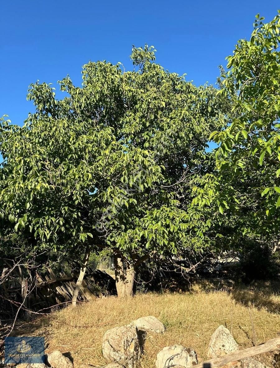 Muğla Seydikemer'de 500m² Satılık İmarlı Arsa - Villa İmkanı - Görsel 4