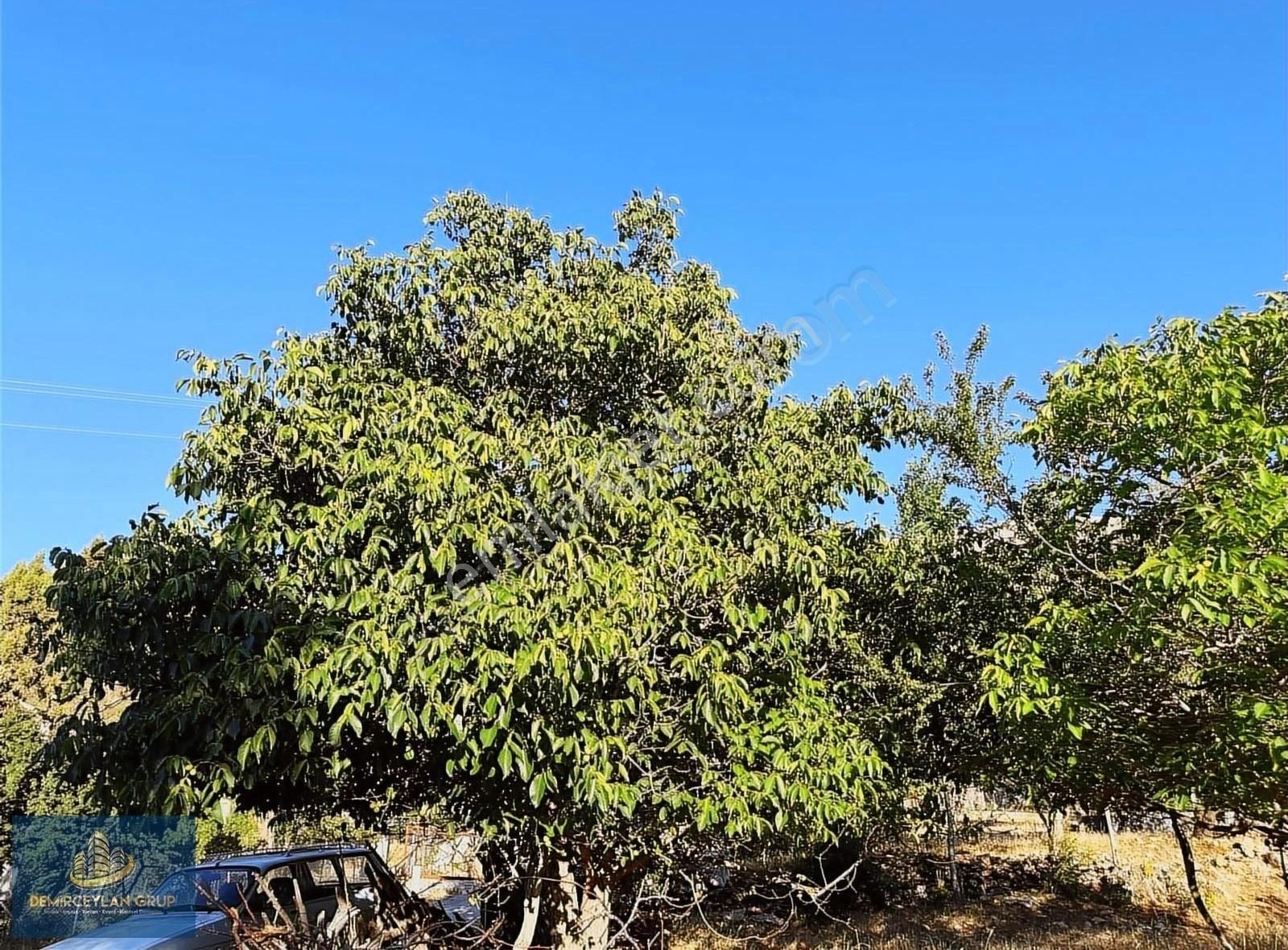 Muğla Seydikemer'de 500m² Satılık İmarlı Arsa - Villa İmkanı - Görsel 5