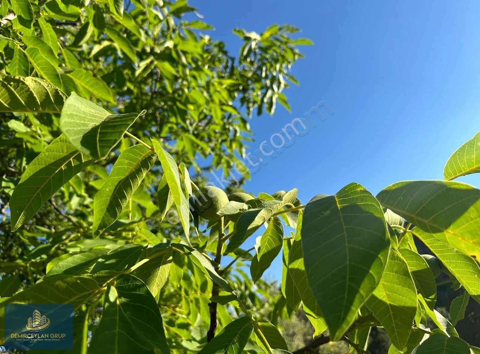 Muğla Seydikemer'de 500m² Satılık İmarlı Arsa - Villa İmkanı - Görsel 8