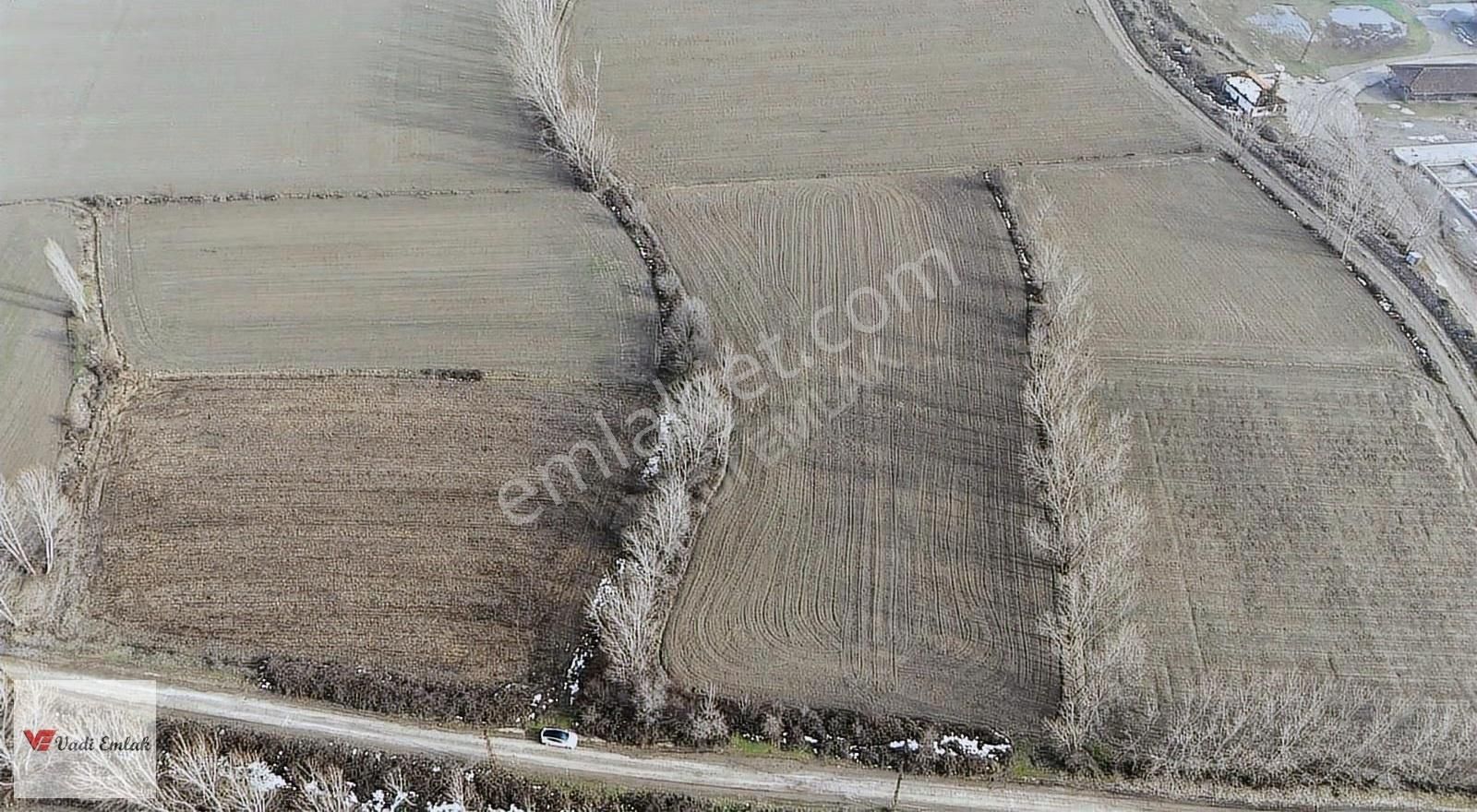 Turhal Osb Yakın Tek Tapulu 9461 M² Satılık Tarla | Vadi Emlak - Görsel 7