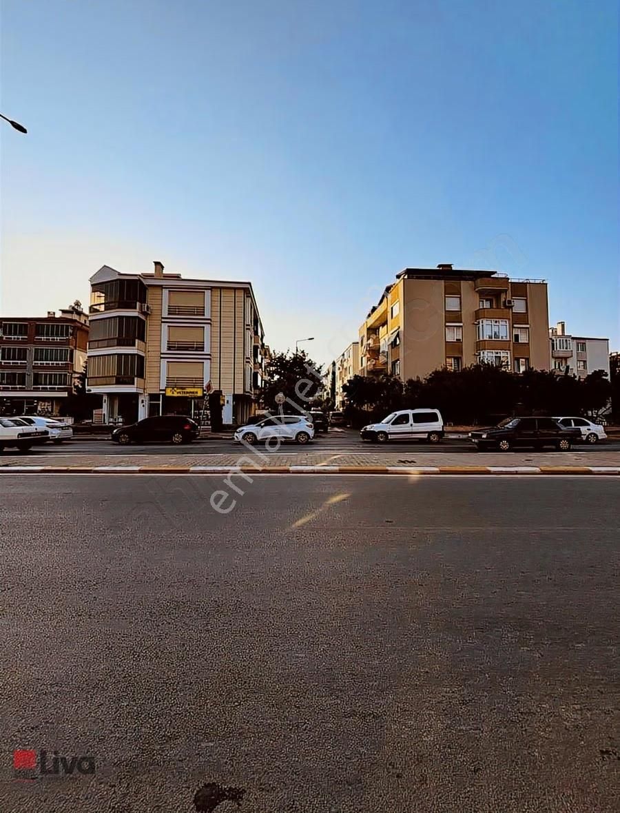 Liva'dan Kiralık Paşaalanında 3+1 Daire - Görsel 22