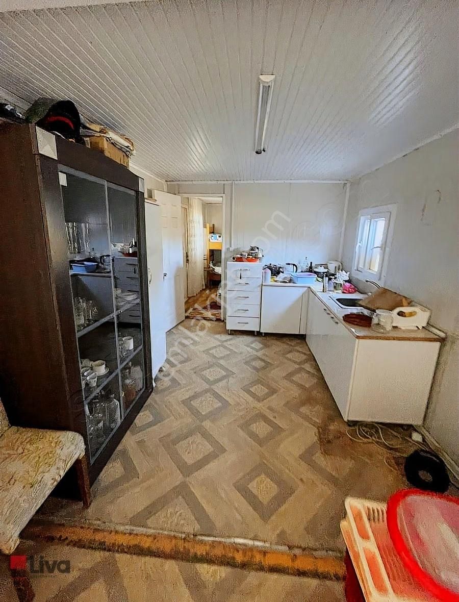 Rw Livadan Dikili Kabakum 4 Dönüm Zeytinlik & Hazır Yaşam Alanı - Görsel 11