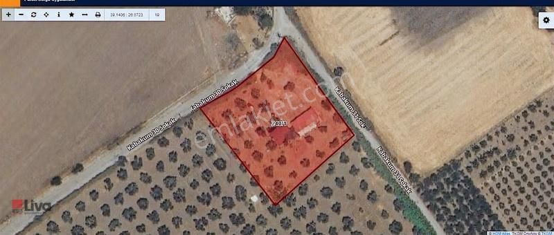 Rw Livadan Dikili Kabakum 4 Dönüm Zeytinlik & Hazır Yaşam Alanı - Görsel 20