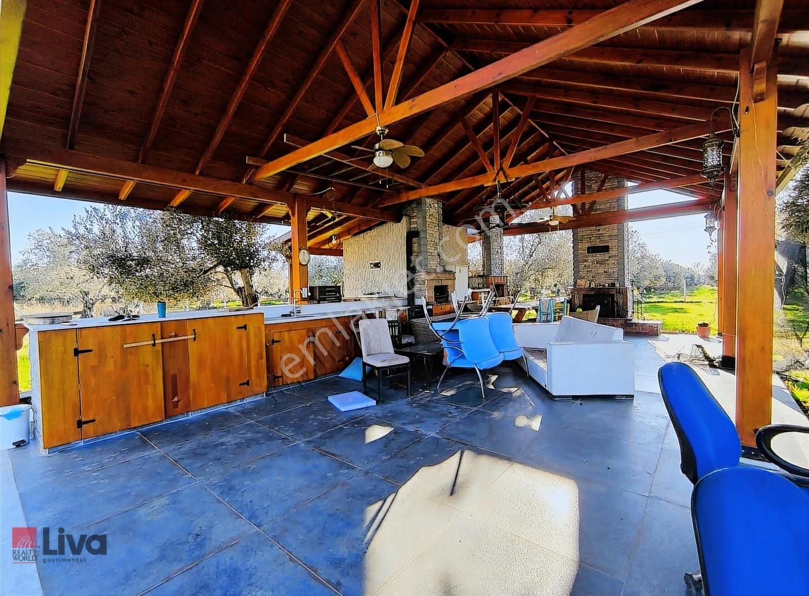 Rw Livadan Dikili Kabakum 4 Dönüm Zeytinlik & Hazır Yaşam Alanı - Görsel 19