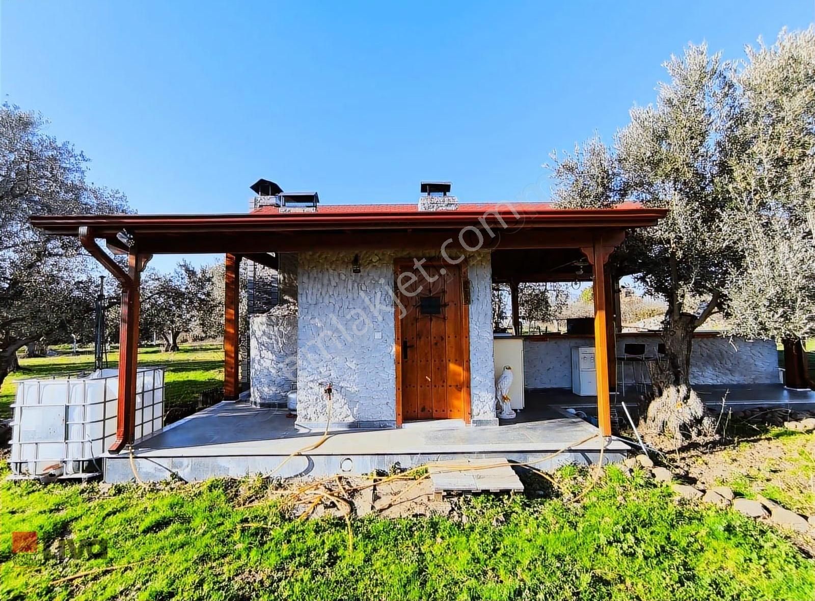 Rw Livadan Dikili Kabakum 4 Dönüm Zeytinlik & Hazır Yaşam Alanı - Görsel 13