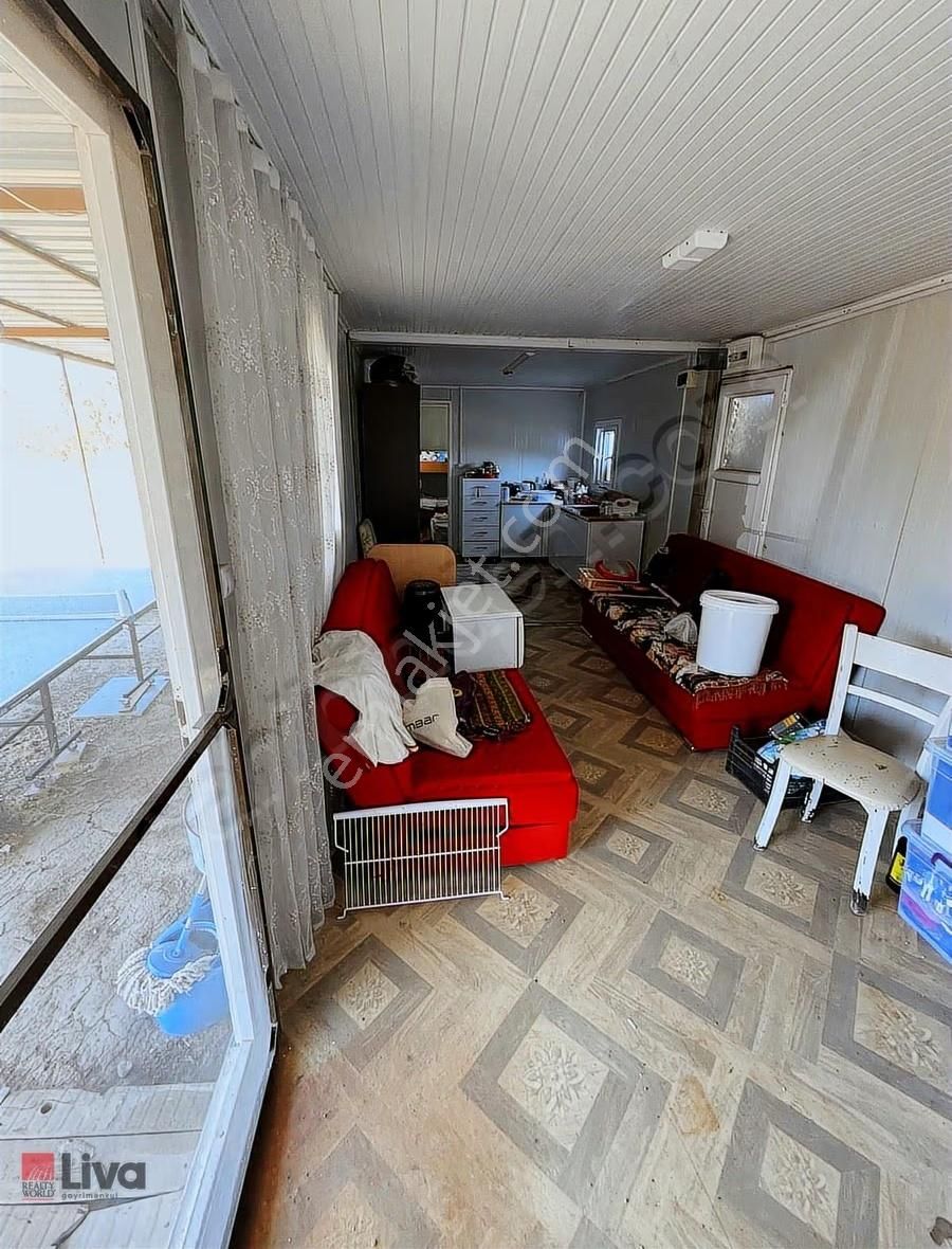 Rw Livadan Dikili Kabakum 4 Dönüm Zeytinlik & Hazır Yaşam Alanı - Görsel 16