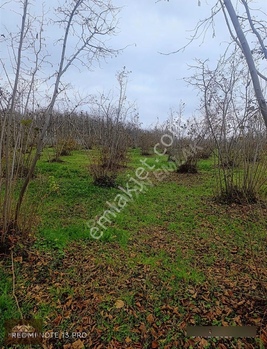 Yatırımlık Satılık Arsa - Görsel 6