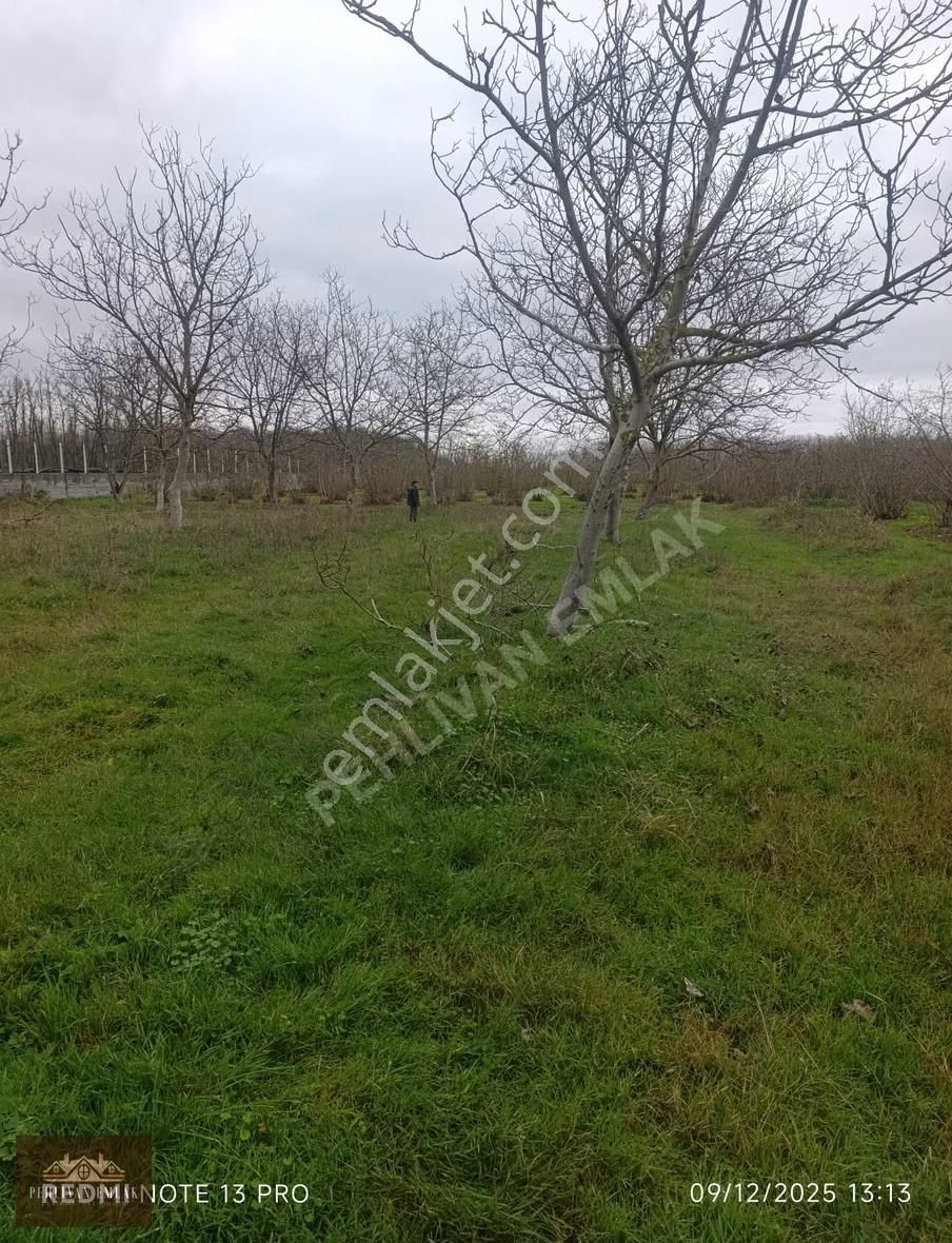 Yatırımlık Satılık Arsa - Görsel 3