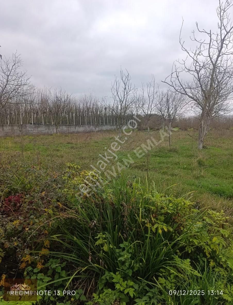 Yatırımlık Satılık Arsa - Görsel 4