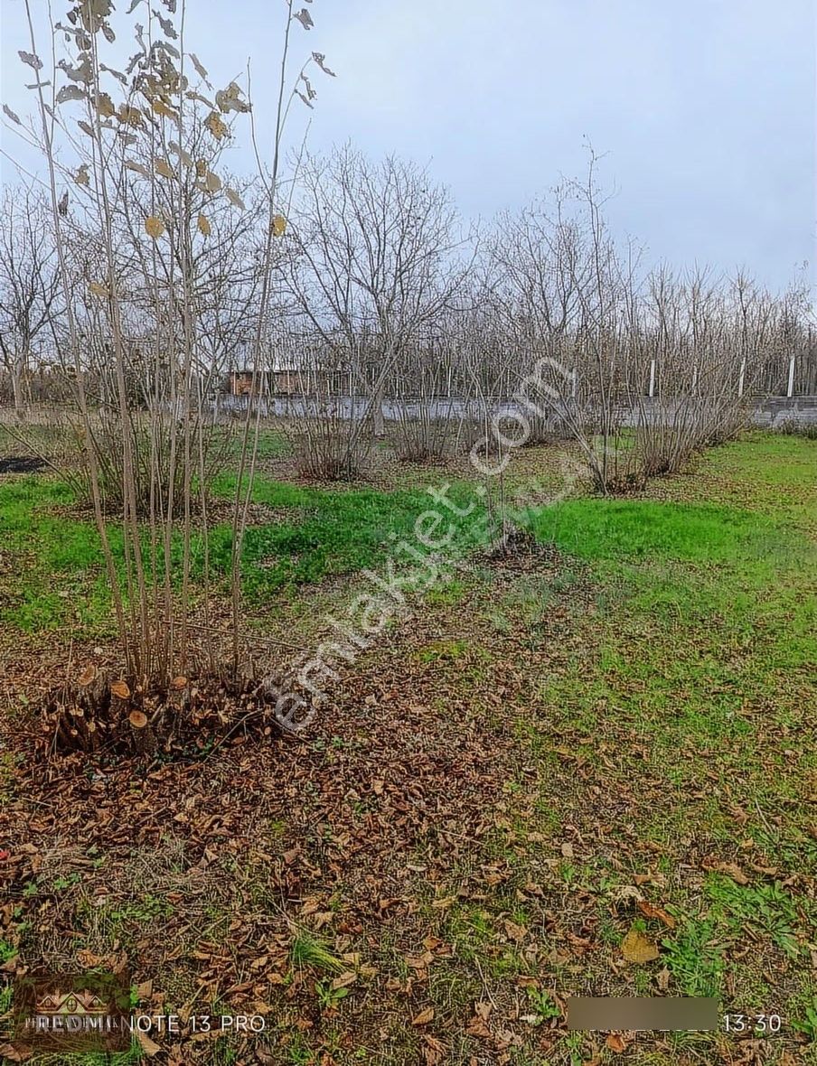 Yatırımlık Satılık Arsa