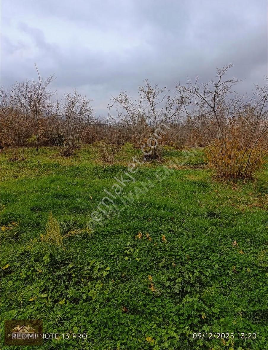 Yatırımlık Satılık Arsa - Görsel 8