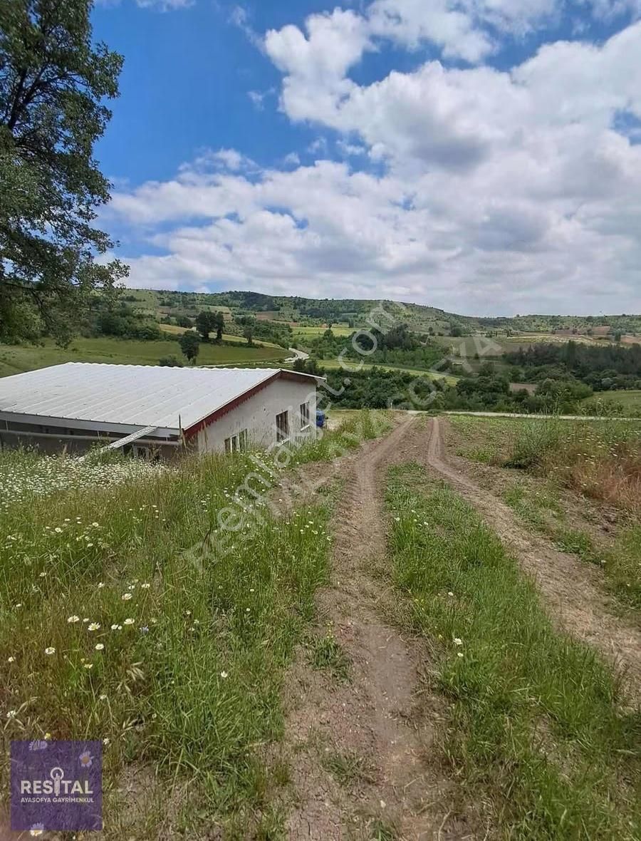 Yenişehir Süleymaniye'de 1.638m2 Satılık Tarla