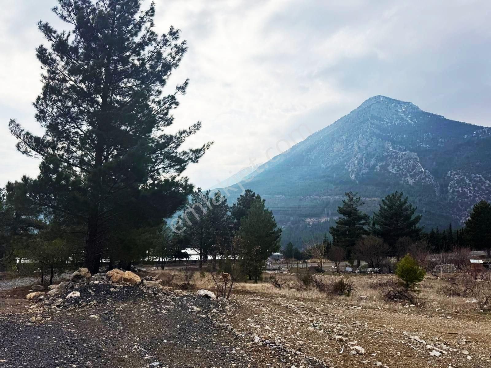 Kar Emlaktan Alpu Yaylasında 400m2 Satılık Arsa - Görsel 6