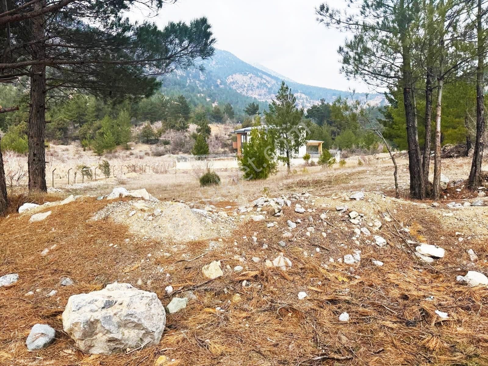 Kar Emlaktan Alpu Yaylasında 400m2 Satılık Arsa - Görsel 7