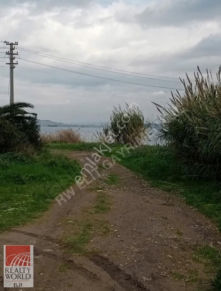 Yeni Foça Cumhuriyet Mahallesinde Kiralık 1+1 - Görsel 4