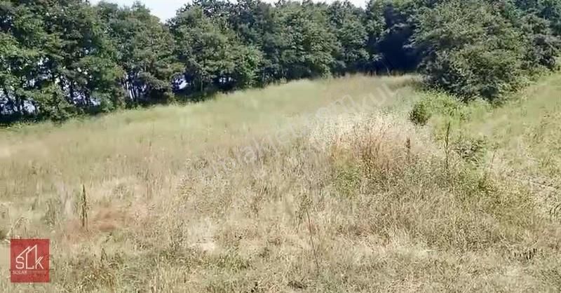 Mirsat Sancaktar'dan Sakarya Kaynarca'da Satılık Tarla - Görsel 5