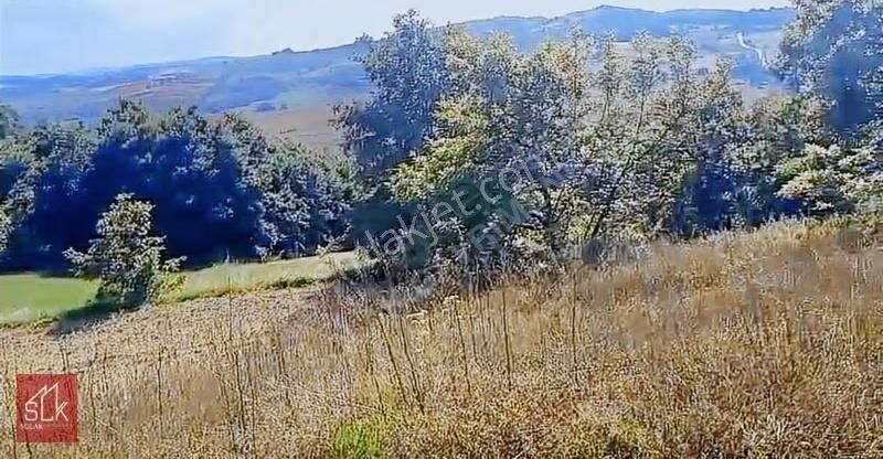 Mirsat Sancaktar'dan Sakarya Kaynarca'da Satılık Tarla - Görsel 4