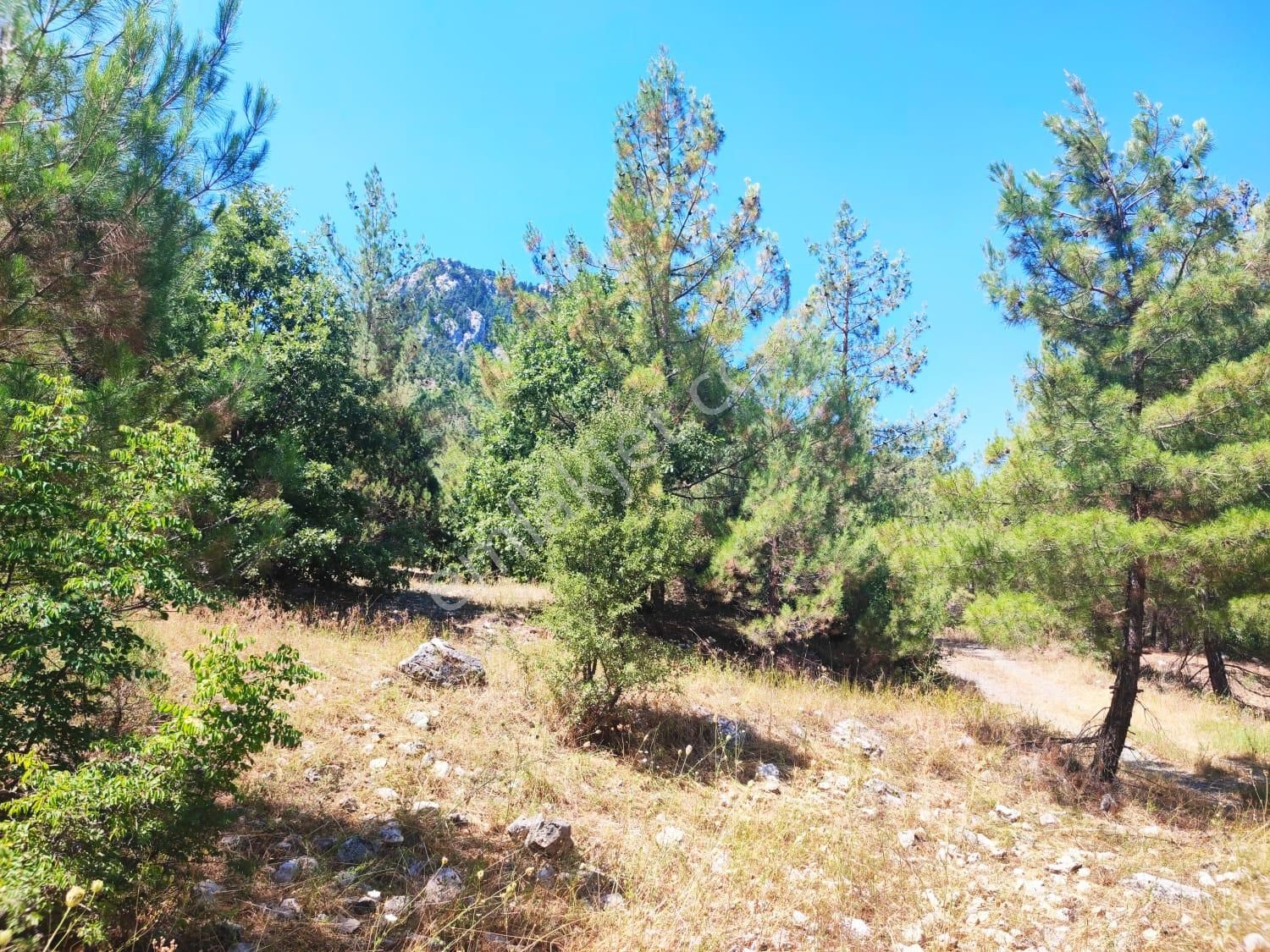 Kar Emmlaktan Eskkonacıkta 240 M2 Satılık Arsa - Görsel 13