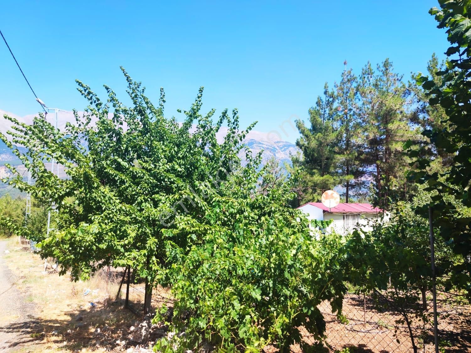 Kar Emmlaktan Eskkonacıkta 240 M2 Satılık Arsa - Görsel 7