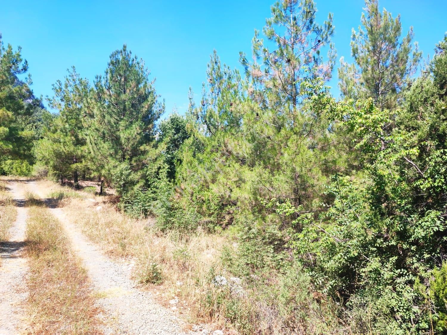 Kar Emmlaktan Eskkonacıkta 240 M2 Satılık Arsa - Görsel 17