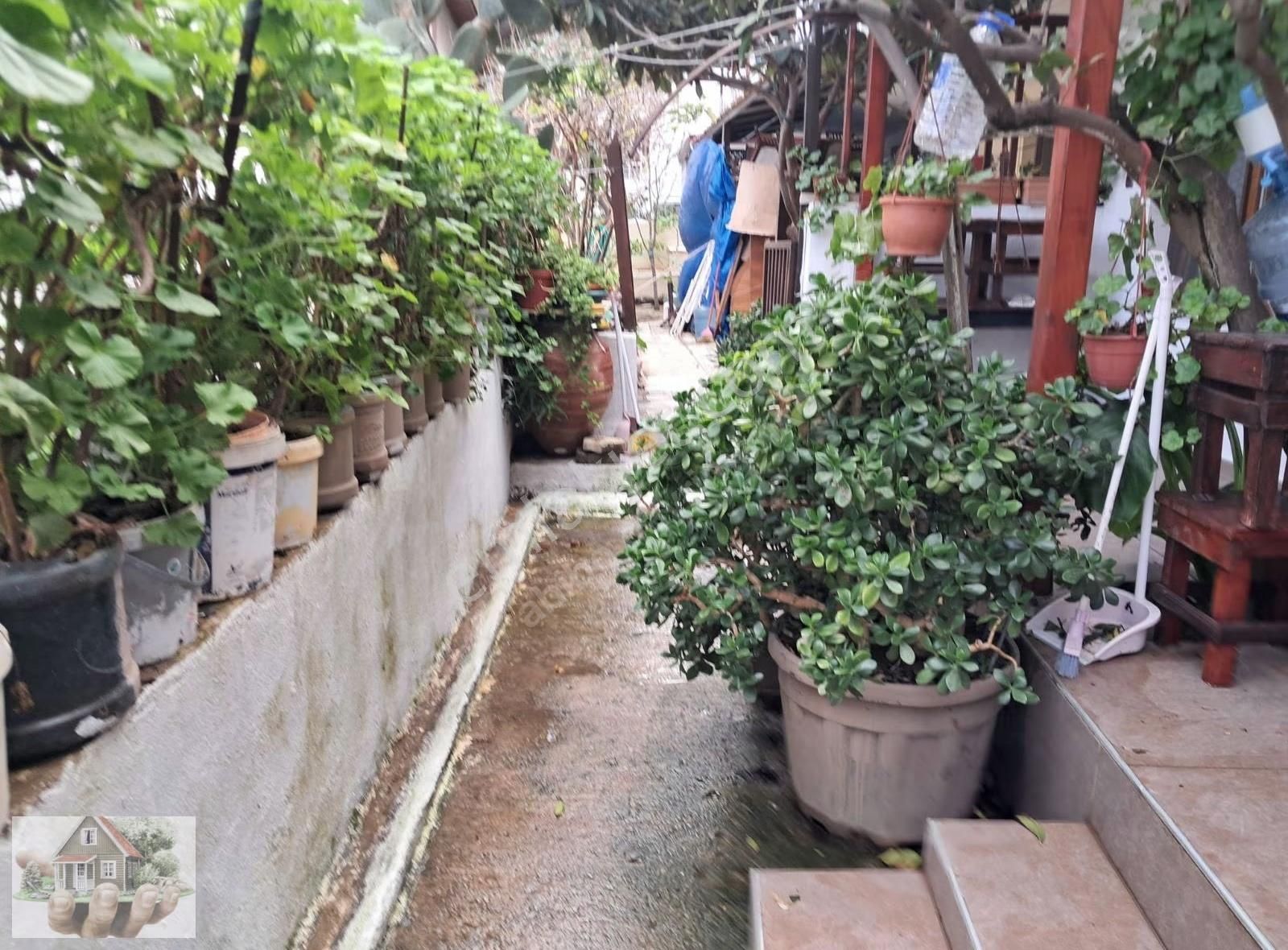 Urla Iskelede Denıze Yurume Mesafesınde - Görsel 8