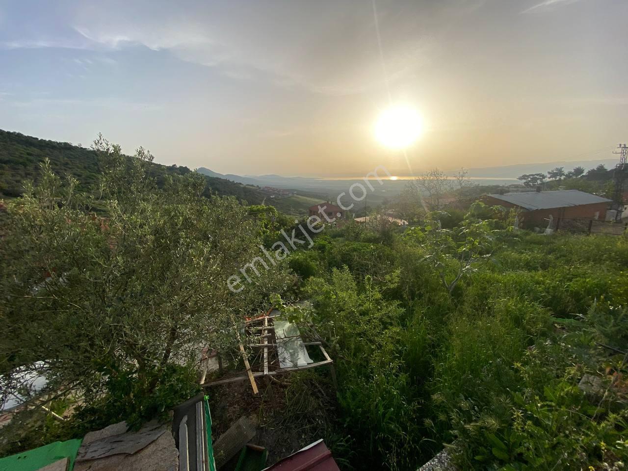 🟧 Aktif'ten Burhaniye Dutluca'da %25 İmarlı 301 M² Satılık İmarlı Arsa - Görsel 25