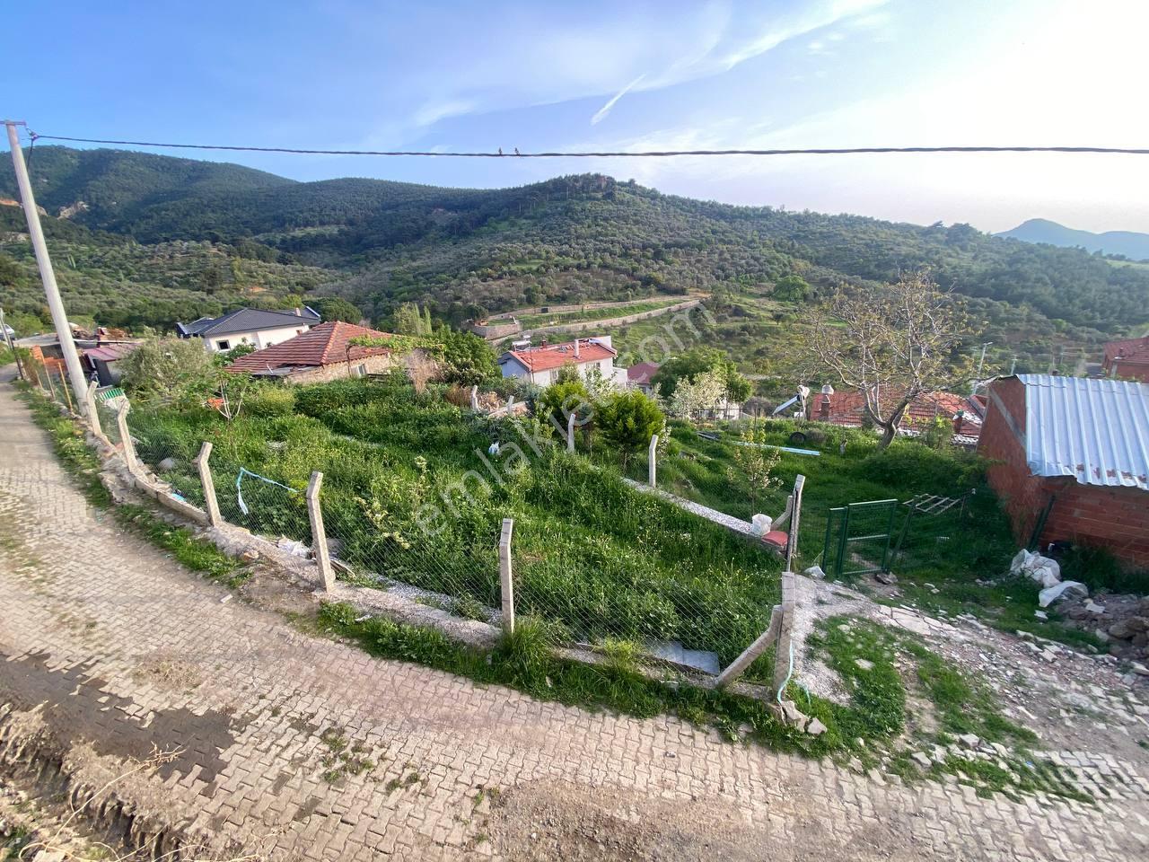 🟧 Aktif'ten Burhaniye Dutluca'da %25 İmarlı 301 M² Satılık İmarlı Arsa - Görsel 3