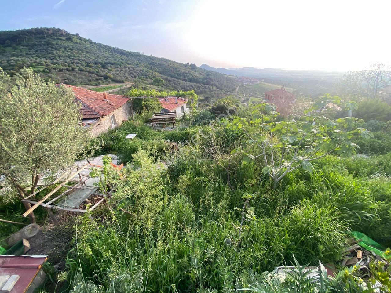🟧 Aktif'ten Burhaniye Dutluca'da %25 İmarlı 301 M² Satılık İmarlı Arsa - Görsel 17