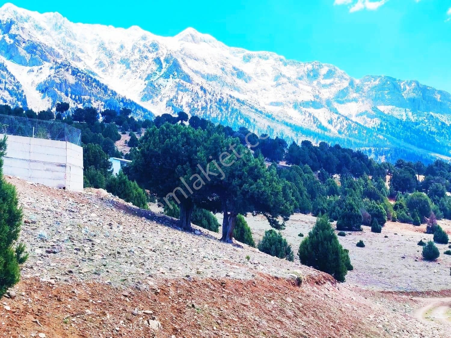 Kar Emlaktan Aşçıbekirli Fenese Mevkiinde 400 M2 Satılık Arsa - Görsel 7