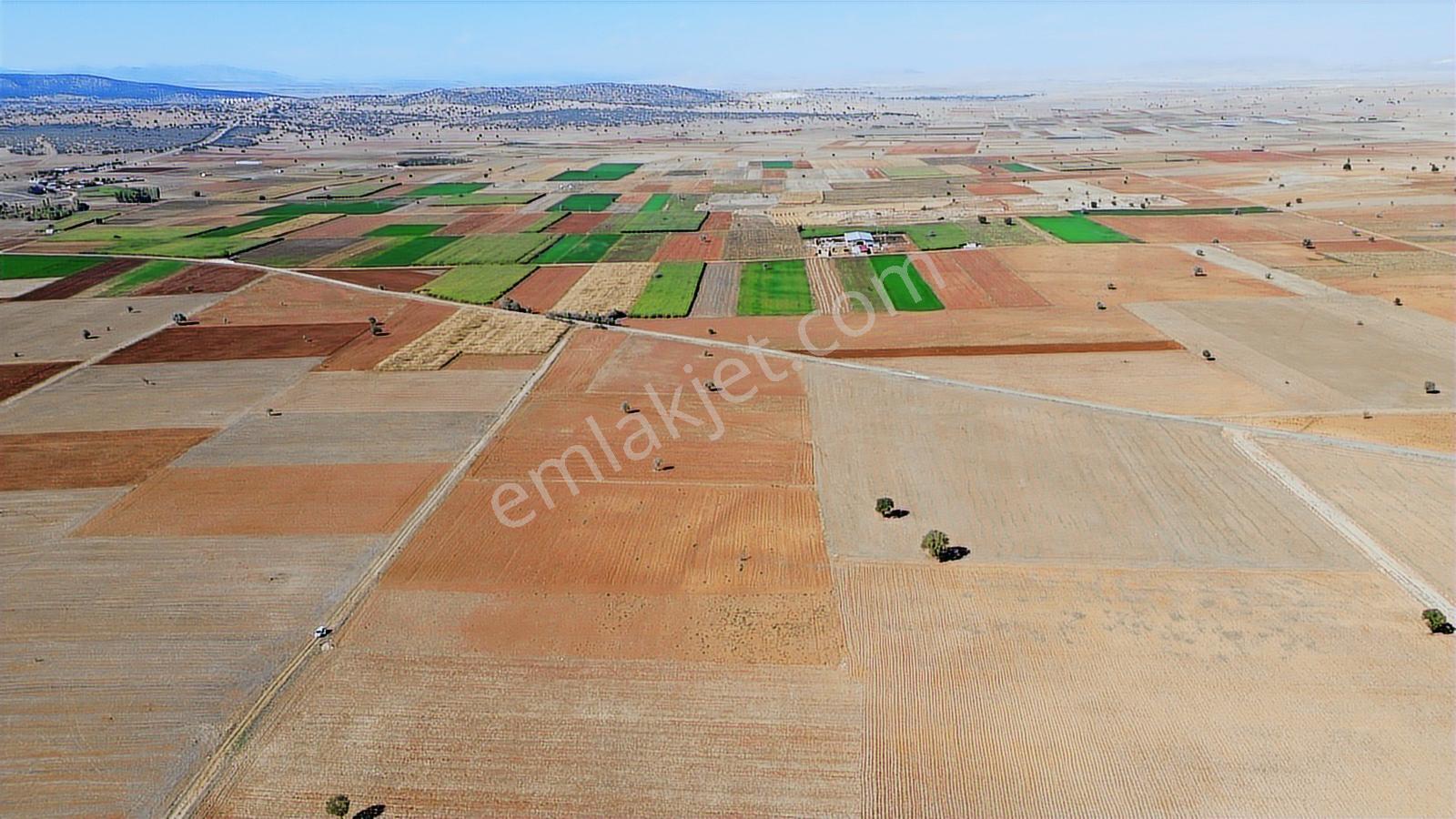 Konya/akören/karahüyük Mahallesi 4020 M2 Tarım Arazisi Ekilir - Görsel 9