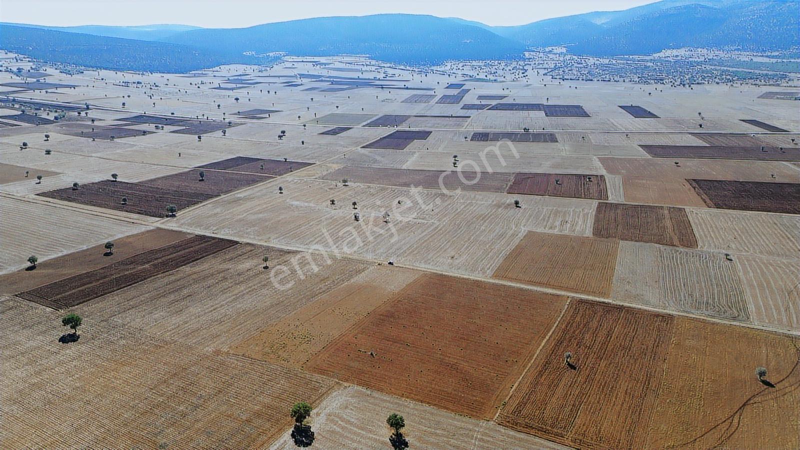 Konya/akören/karahüyük Mahallesi 4020 M2 Tarım Arazisi Ekilir - Görsel 8