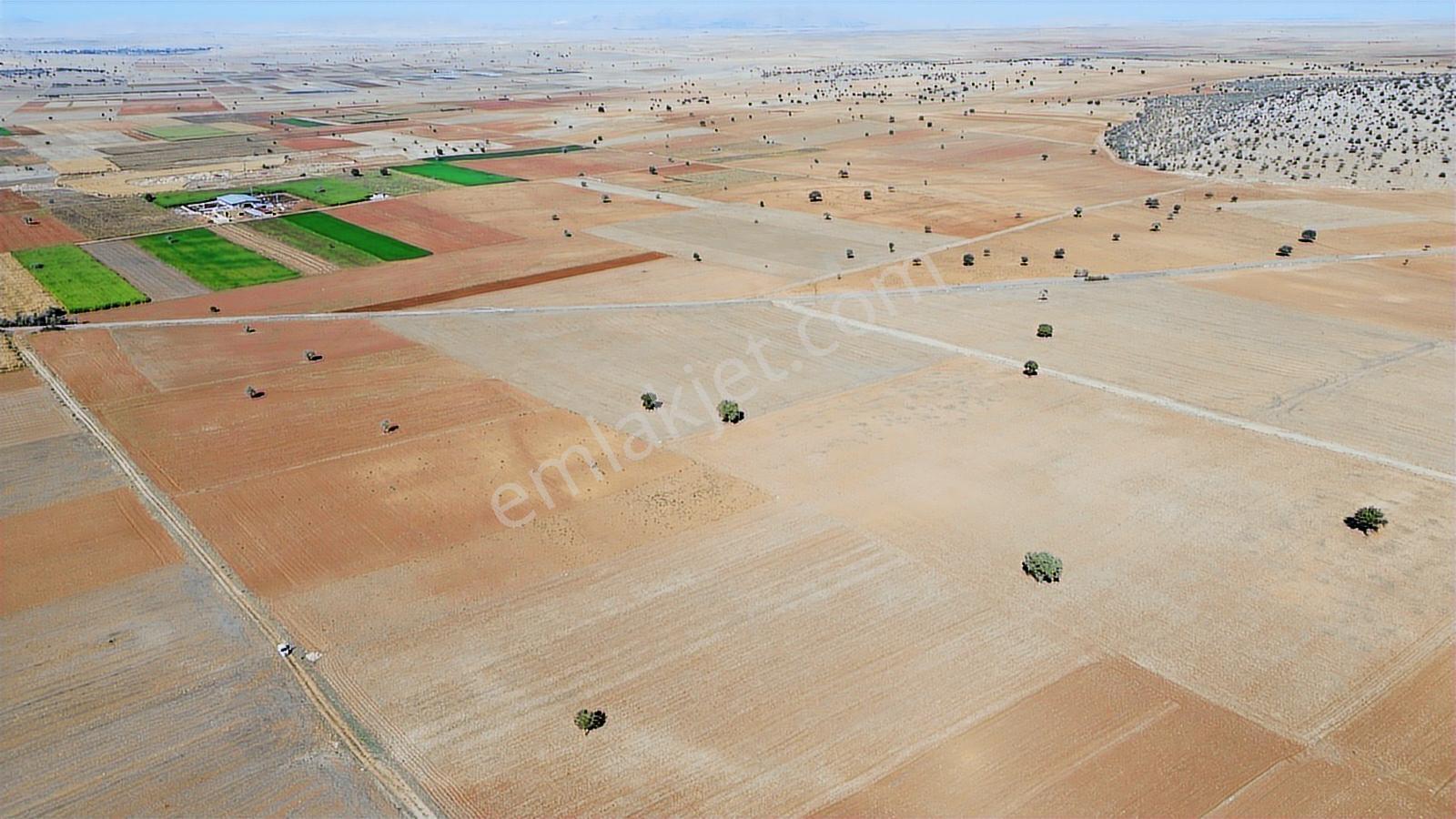 Konya/akören/karahüyük Mahallesi 4020 M2 Tarım Arazisi Ekilir - Görsel 29