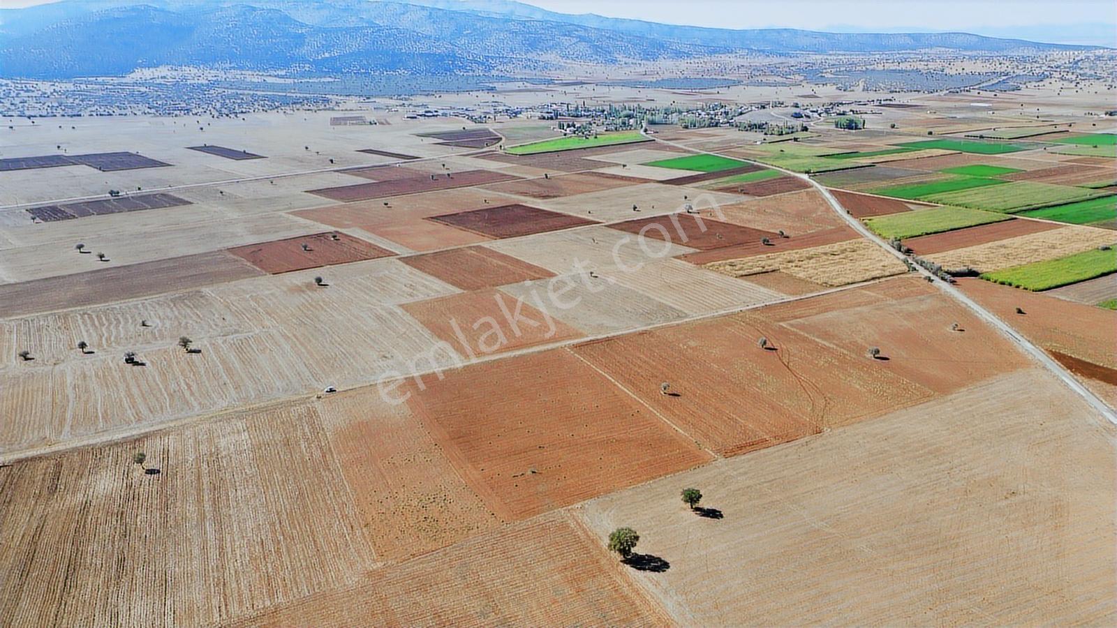 Konya/akören/karahüyük Mahallesi 4020 M2 Tarım Arazisi Ekilir - Görsel 18