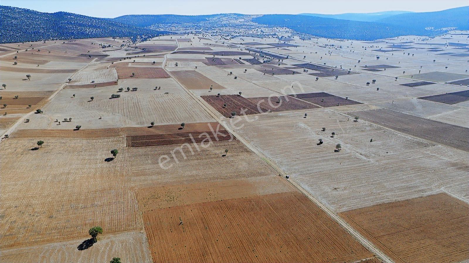 Konya/akören/karahüyük Mahallesi 4020 M2 Tarım Arazisi Ekilir - Görsel 6